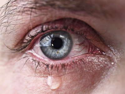 shutterstock-Marcos-Mesa-Sam-Wordley-409973266-detail