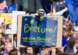 Remain banner at March for Europe - Photo by John Gomez / Shutterstock.com